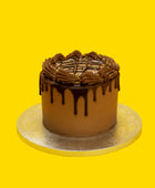 Double Chocolate Cake