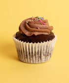 Chocolate Cupcakes